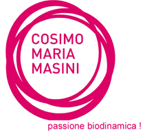 webpage-logo